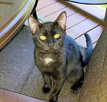 Photo of Perry