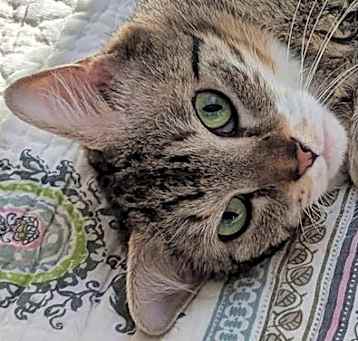 Photo of Heidi