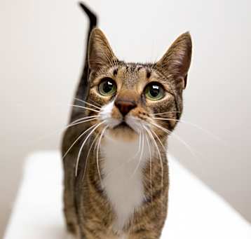 Photo of Esmerelda