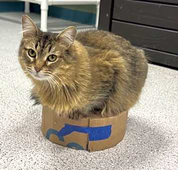 Photo of Row
