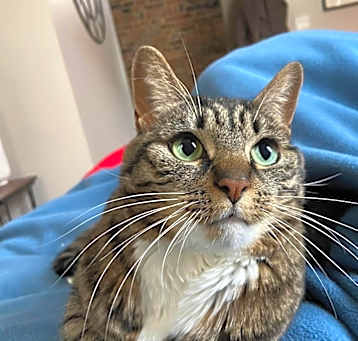 Photo of Izzy