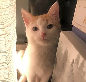 Photo of Zoë