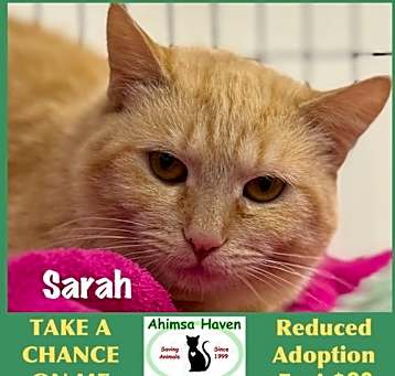 Photo of Sarah