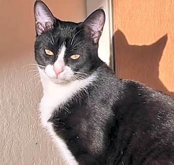 Photo of Maggie May