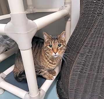 Photo of Betty