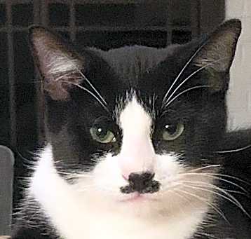 Photo of Charlie