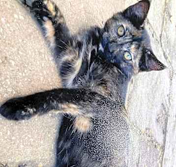 Photo of Holly