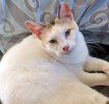 Photo of Moira