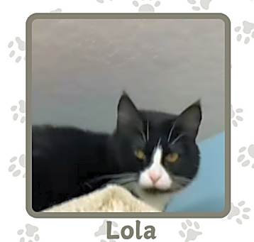 Photo of Lola