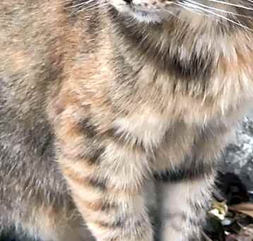 Photo of Tia