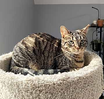 Photo of Duffi