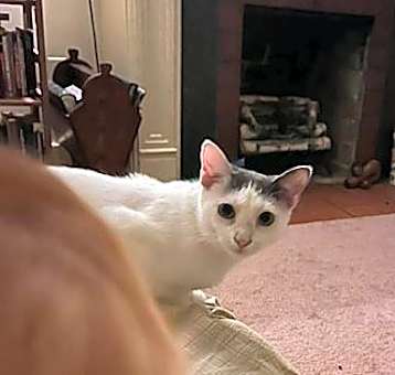 Photo of Grace