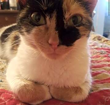 Photo of MIA