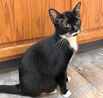 Photo of Olaf