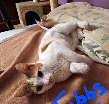 Photo of Tubbs