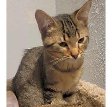 Photo of Lina