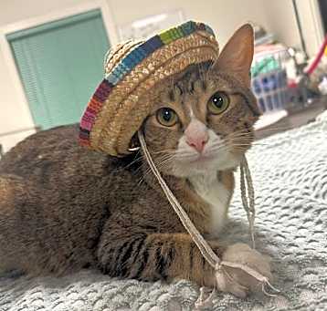 Photo of BEAN