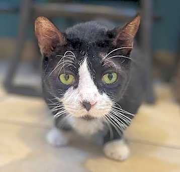 Photo of MOKO