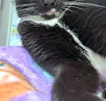 Photo of XENA