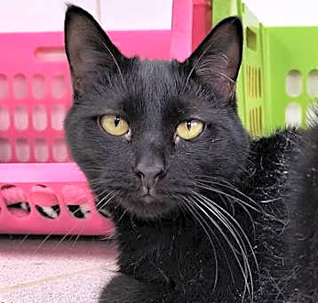 Photo of SLY