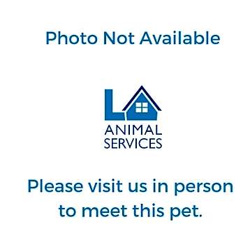 Photo of BELLA