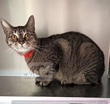 Photo of ELARA