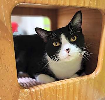 Photo of OLIVER