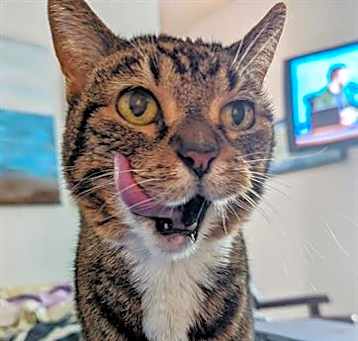 Photo of MUFFY