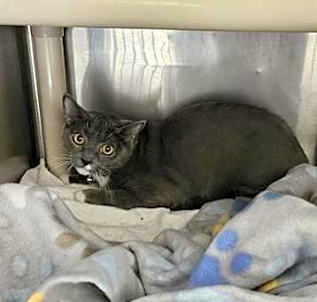 Photo of A070992