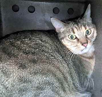 Photo of BELLA