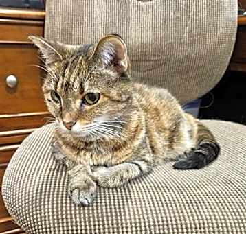 Photo of CASEY
