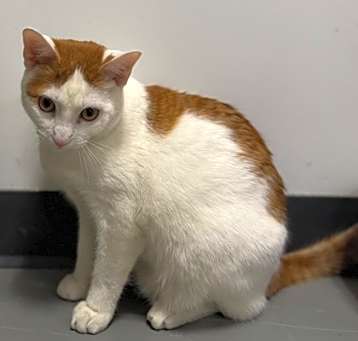 Photo of Bumpy