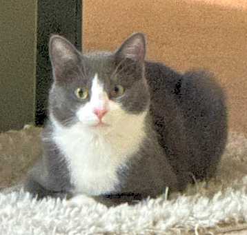 Photo of Boots