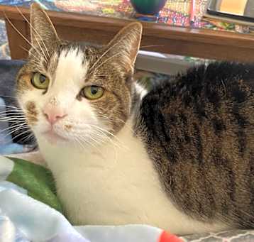 Photo of Starbuck