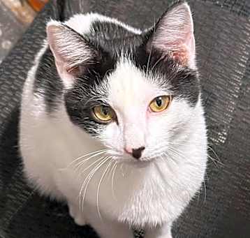 Photo of Cletus
