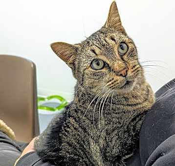 Photo of Tiggy