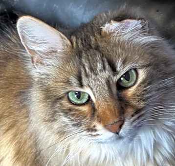 Photo of Queenie Winter