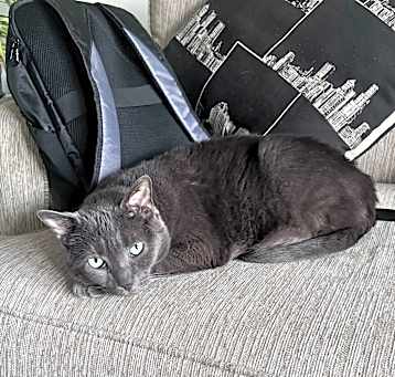Photo of Abby-fee sponsored