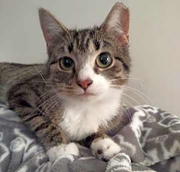 Photo of Emmy - Special Needs