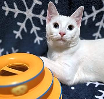 Photo of OLAF