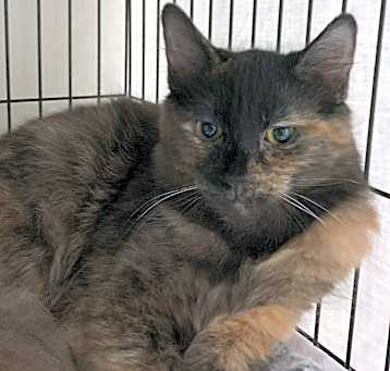 Photo of Quik24