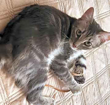 Photo of Spirit