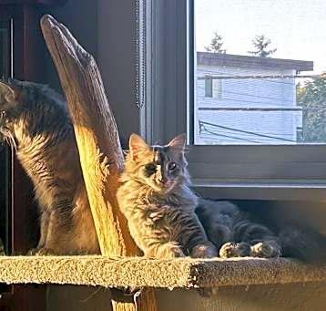 Photo of Taz & Elmer