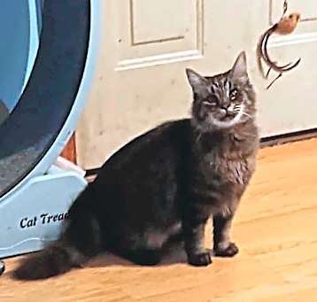 Photo of Tinkerbelll