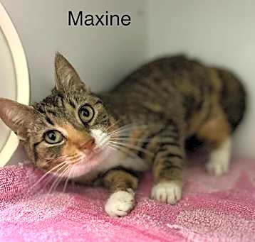 Photo of Maxine