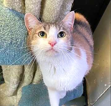 Photo of Cleo