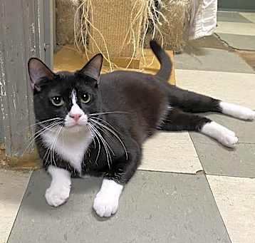 Photo of Hans
