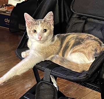 Photo of April