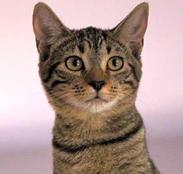 Photo of Wilma