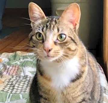 Photo of Piper